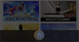 Open the official casino website