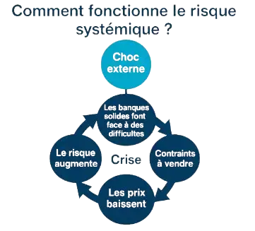 Cycle du risque systémique: choc, crise, chute, risque